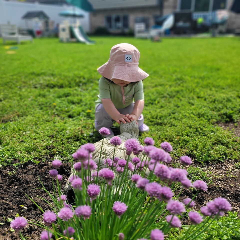 Toddler touching a garden ornament beside flowering chives