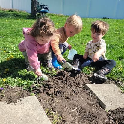Children digging in the garden bed, heads down focused on the soil
