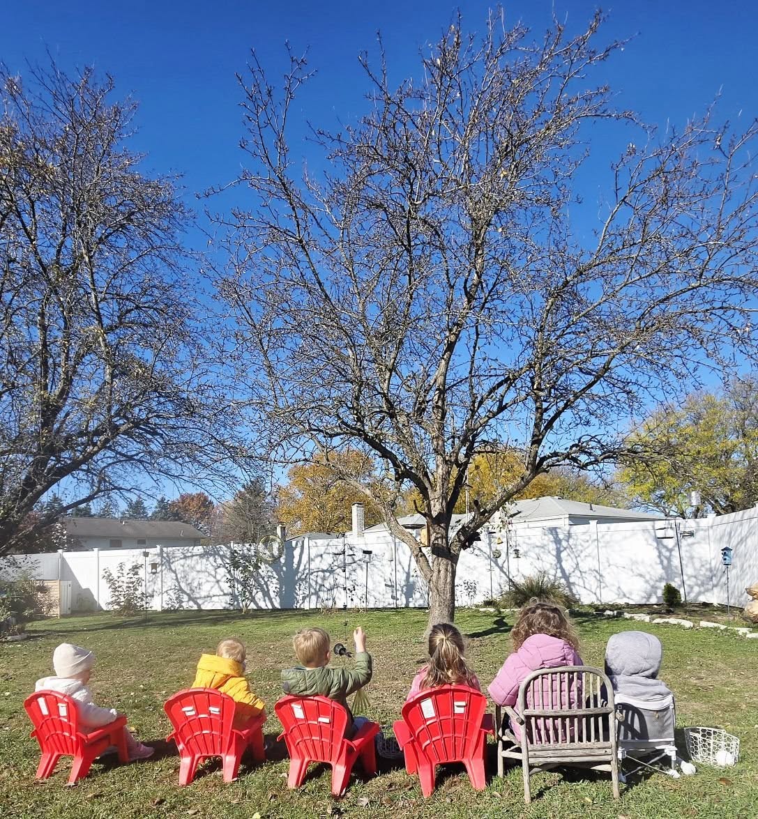 Children sitting in little red Adirondack chairs under an autumn tree, backs to camera