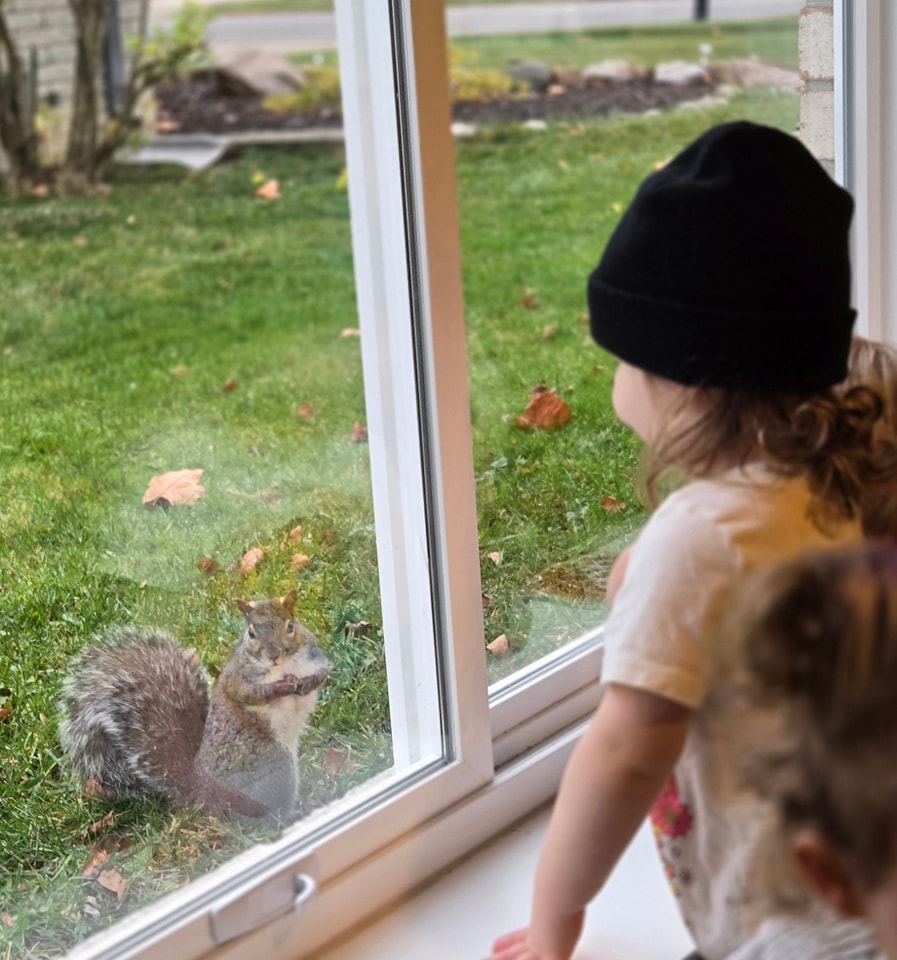 Child watching a squirrel through the window, back to camera